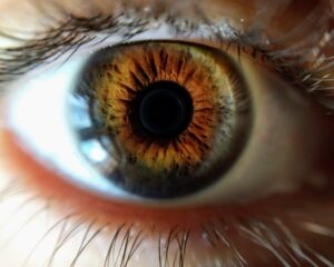 human eye closeup photo