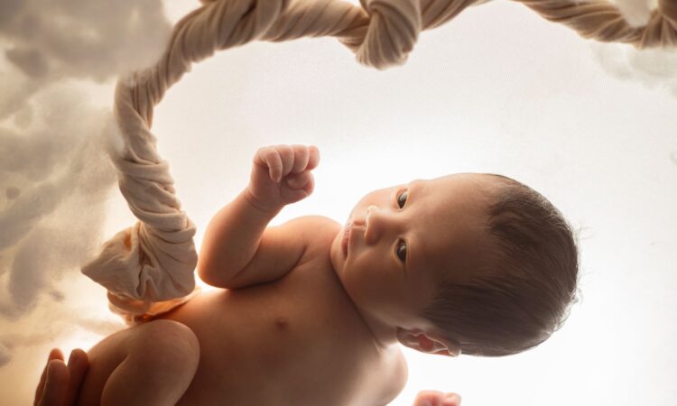 peaceful newborn portrait in dreamy setting