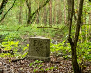 forest stone landmark in tranquil woodland setting